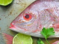 Smoked Snapper with Lemon Couscous Recipe