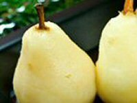 Somerset Pears Recipe