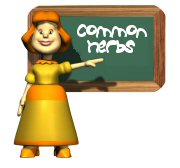 Common Herbs Common Herbs