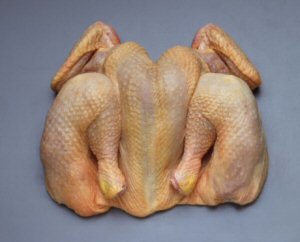 Be careful of Chicken Be careful of Chicken