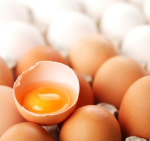 Be careful of Eggs Be careful of Eggs