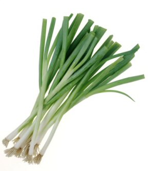 Be careful of Scallions Be careful of Scallions