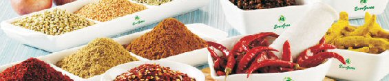Indian Ingredients - Spices Indian Ingredients - Spices