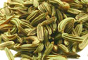 Fennel Seeds