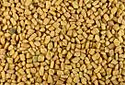 Fenugreek Seeds