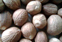 Nutmeg Without Shell