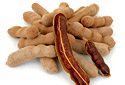 Tamarind