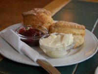 Easybake Scones Easybake Scones