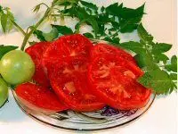 Fried Tomatoes Recipe