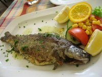 Grilled Trout