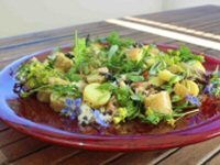 Luxury Lobster and Potato Salad Recipe