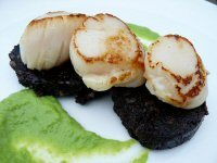 Pan Fried Scallops on Black Pudding with Pea & Mint Purée Pan Fried Scallops on Black Pudding with Pea & Mint Purée