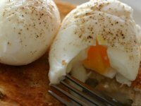 Poached Egg