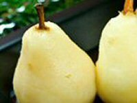 Somerset Pears Recipe Somerset Pears Recipe