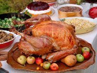 Thanksgiving Turkey Recipe