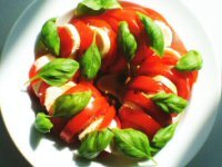 Tomato and Mozzarella Salad Recipe