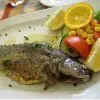 Previous recipe - Grilled Trout