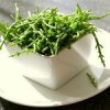 Samphire